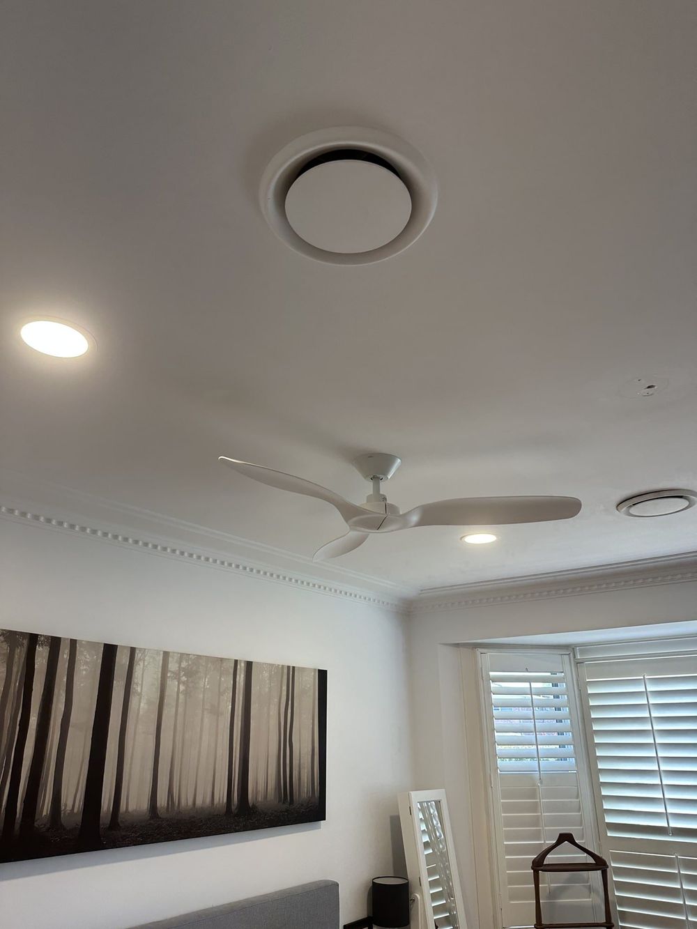 Ceiling fan and light installed in a bedroom